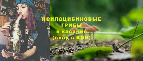 шишки Богородицк