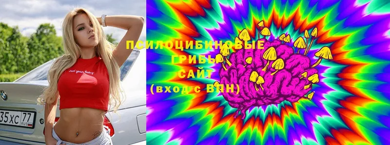 где продают   Починок  Галлюциногенные грибы MAGIC MUSHROOMS 